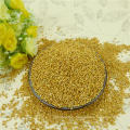 Natural Grown White broom corn millet for people,2012 new crop